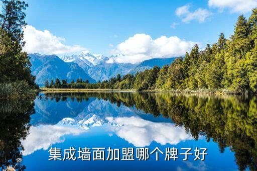 集成墙面加盟哪个牌子好