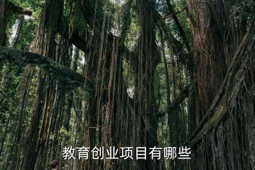教育创业项目有哪些