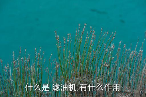 什么是 滤油机,有什么作用