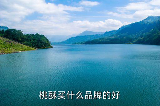 淮安泸溪河桃酥加盟费用,加盟泸溪河桃酥店需要投资多少钱