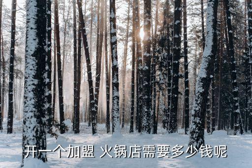 开一个加盟 火锅店需要多少钱呢
