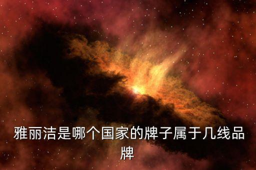 雅丽洁加盟费