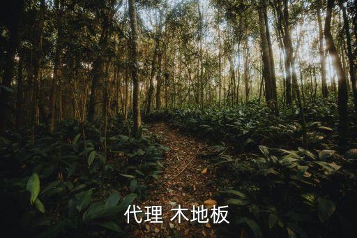 富绅木地板加盟费多少
