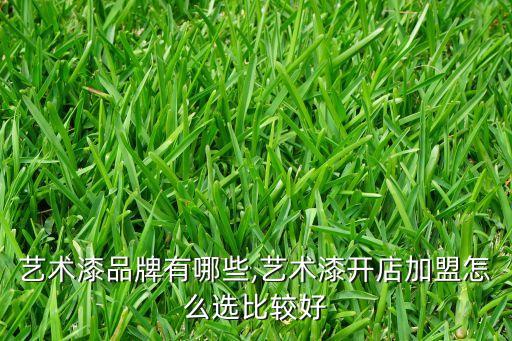 艺术漆品牌有哪些,艺术漆开店加盟怎么选比较好