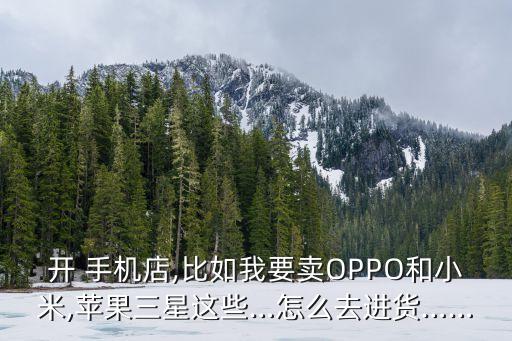 开 手机店,比如我要卖OPPO和小米,苹果三星这些…怎么去进货……