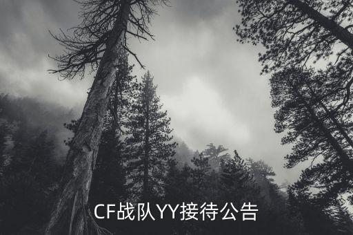 CF战队YY接待公告