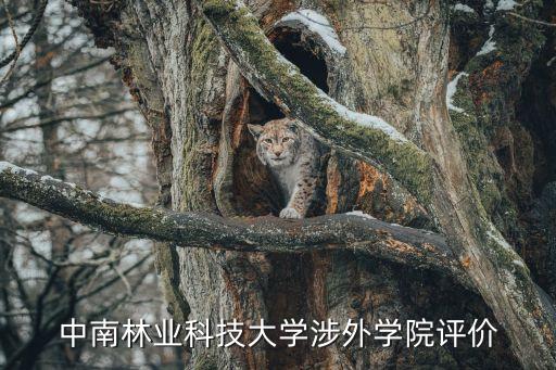 螺鼎记加盟费用,广西拾螺记加盟电话