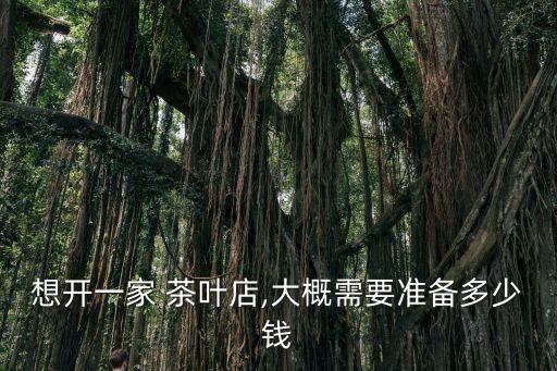 想开一家 茶叶店,大概需要准备多少钱