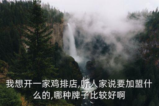 我想开一家鸡排店,听人家说要加盟什么的,哪种牌子比较好啊