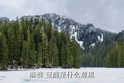 麻婆 豆腐是什么意思
