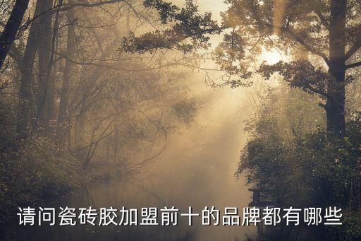 请问瓷砖胶加盟前十的品牌都有哪些