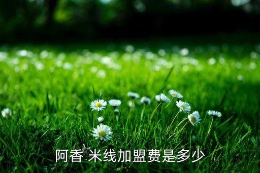 阿香 米线加盟费是多少