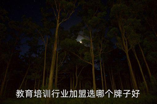 教育培训行业加盟选哪个牌子好