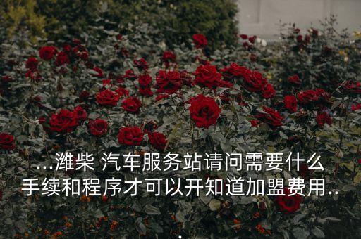 豪华汽车维修店加盟费,汽车美容维修店加盟费