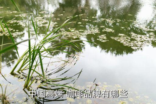 咖啡烘焙加盟费多少钱,咖啡轻烘焙和深烘焙的区别