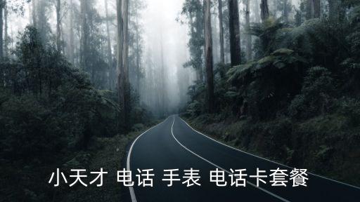 小天才 电话 手表 电话卡套餐
