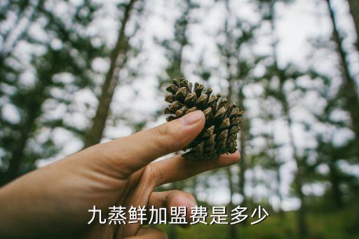 九蒸鲜加盟费是多少