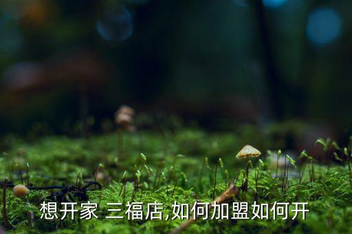 想开家 三福店,如何加盟如何开