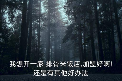 我想开一家 排骨米饭店,加盟好啊!还是有其他好办法