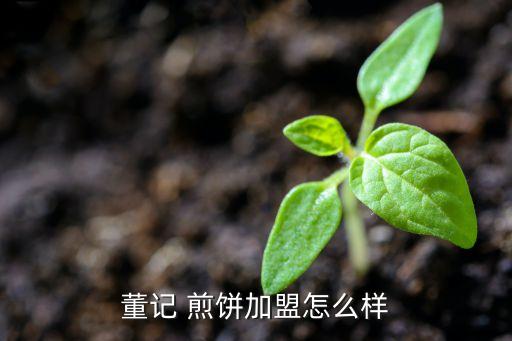 董记 煎饼加盟怎么样