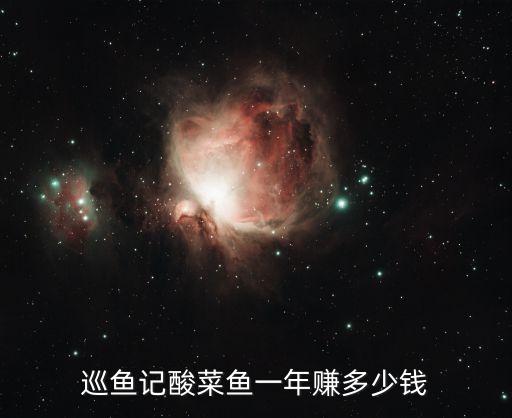 巡鱼记酸菜鱼一年赚多少钱