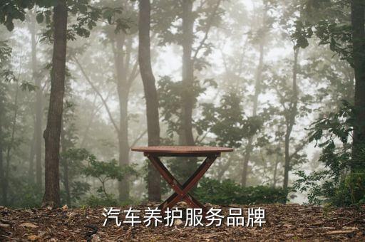  汽车养护服务品牌