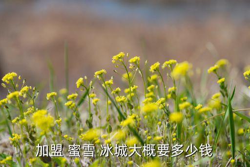 加盟 蜜雪 冰城大概要多少钱