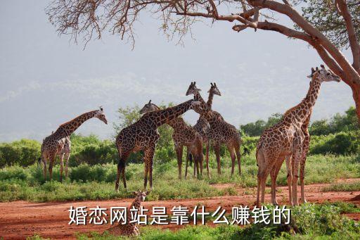 承德婚介连锁加盟费用,创世纪情缘婚介连锁加盟