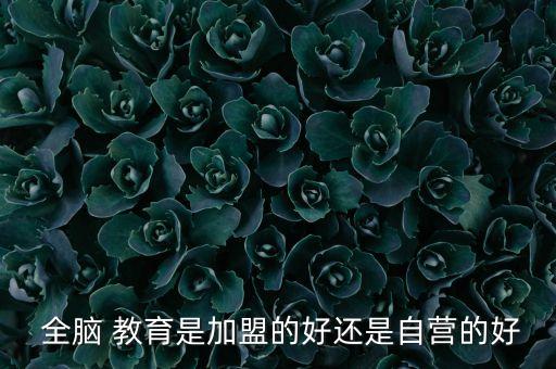  全脑 教育是加盟的好还是自营的好
