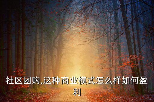 社区团购,这种商业模式怎么样如何盈利