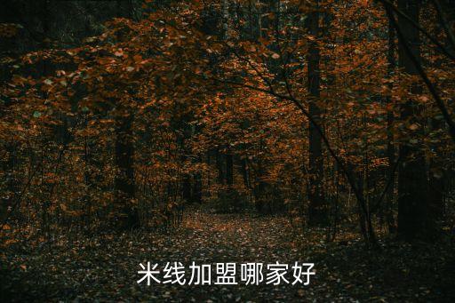 米线加盟哪家好