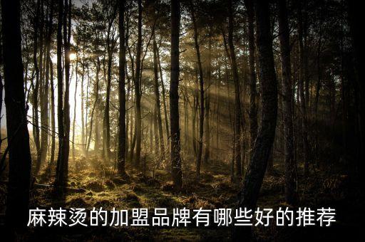 麻辣烫的加盟品牌有哪些好的推荐