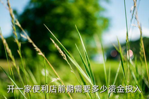 开一家便利店前期需要多少资金投入