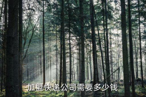 加盟快递公司需要多少钱