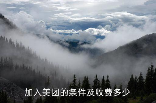 加入美团的条件及收费多少