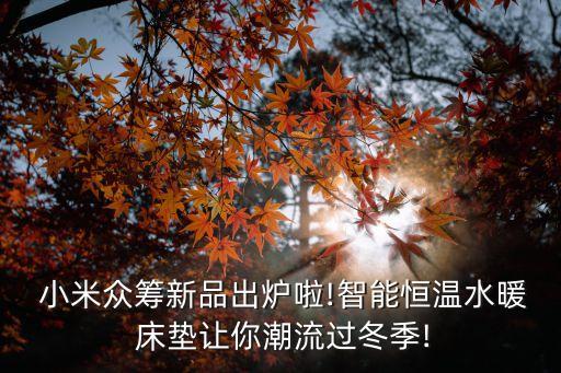  小米众筹新品出炉啦!智能恒温水暖 床垫让你潮流过冬季!