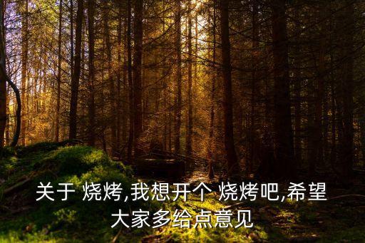 关于 烧烤,我想开个 烧烤吧,希望大家多给点意见