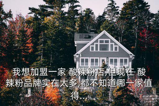我想加盟一家 酸辣粉店,但现在 酸辣粉品牌实在太多,都不知道哪一家值得...