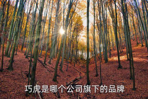  巧虎是哪个公司旗下的品牌