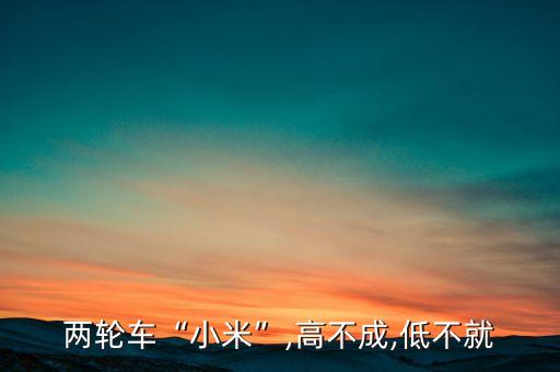 两轮车“小米”,高不成,低不就