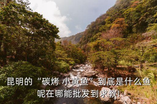 西安小黄鱼烧烤加盟费,小黄鱼烧烤加盟费是多少