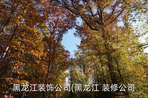 黑龙江装饰公司(黑龙江 装修公司