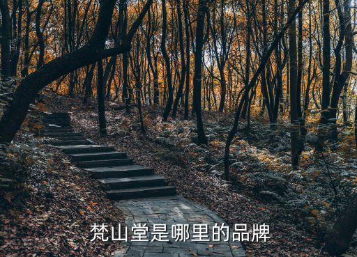  梵山堂是哪里的品牌