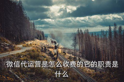  微信代运营是怎么收费的它的职责是什么