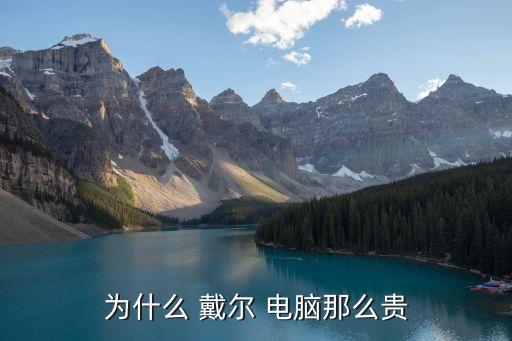为什么 戴尔 电脑那么贵