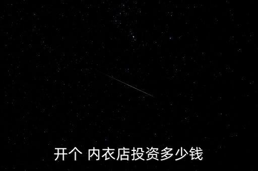开个 内衣店投资多少钱