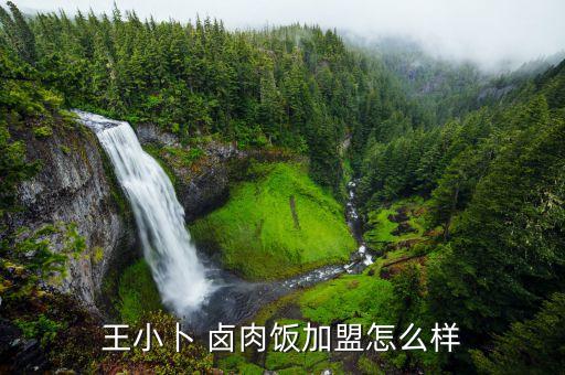 王小卜 卤肉饭加盟怎么样