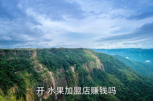 开 水果加盟店赚钱吗