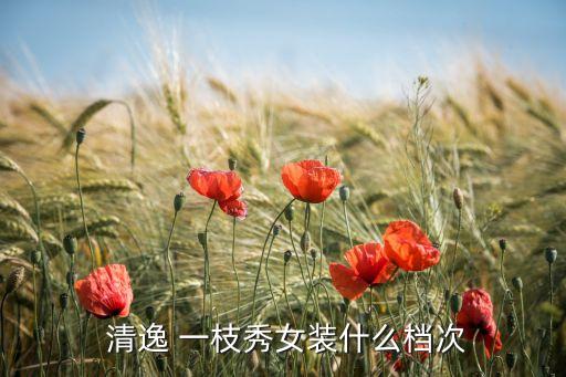  清逸 一枝秀女装什么档次