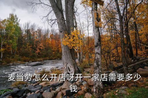  麦当劳怎么开店呀开一家店需要多少钱